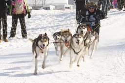 Lenk 2012 SM